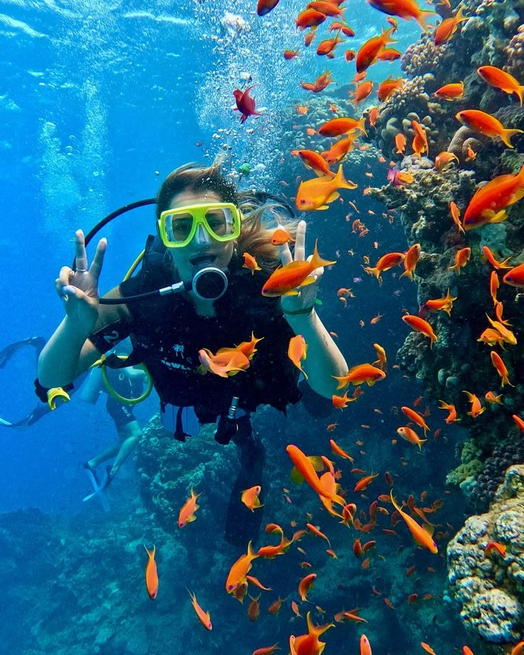 Scuba Diving ( Boat Dive )