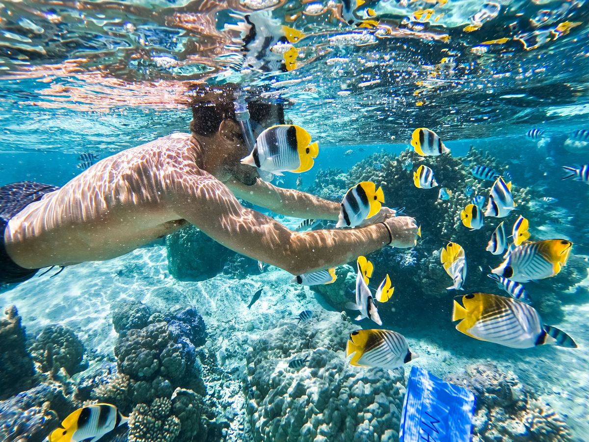 Snorkeling