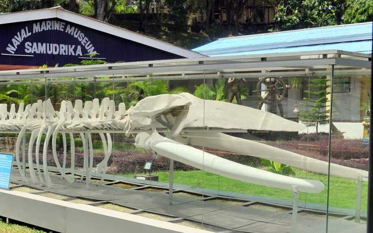 City Tour( Anthropological Museum , Fisheries Museum , Samudrika Museum & Sagarika Emporium )